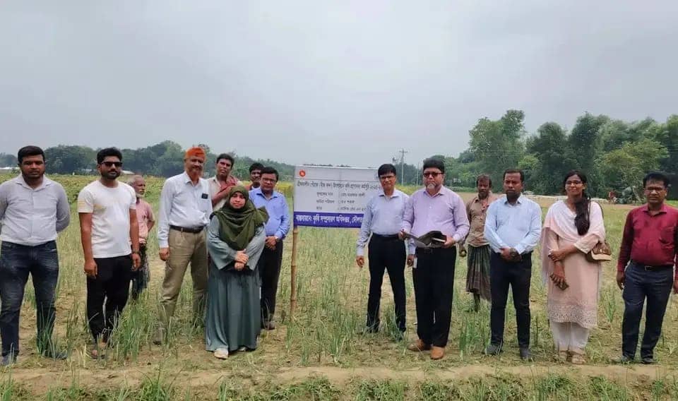 দেশে পেঁয়াজের চাহিদা মেটাতে গ্রীষ্মকালীন চাষ বাড়ানোর তাগিদ