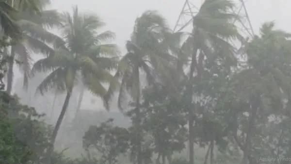 ঢাকাসহ ১৪ জেলায় কালবৈশাখী ঝড় ও বজ্রসহ বৃষ্টির সতর্কতা