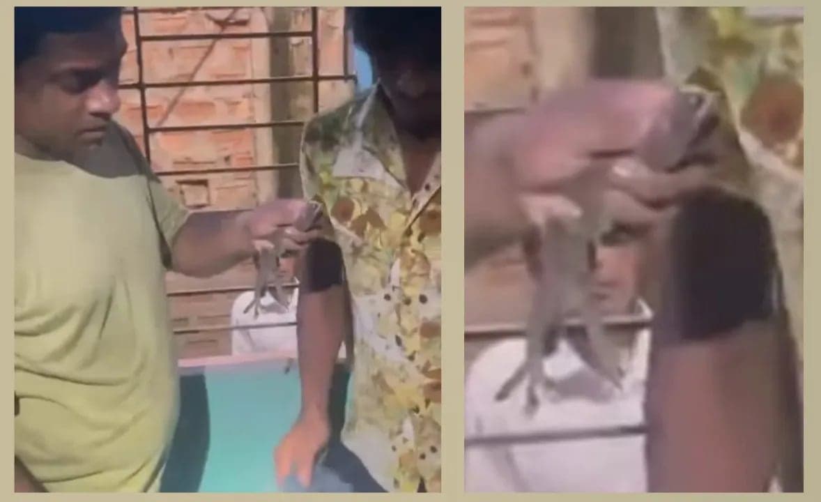 শ্রীমঙ্গলে লোকালয় থেকে তক্ষক উদ্ধার