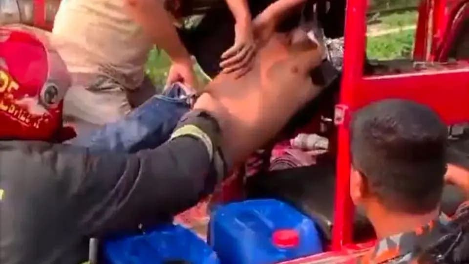 শ্রীমঙ্গলে চলন্ত ট্রেনের ছাদ থেকে পড়ে গুরুতর আহত ২ যুবক