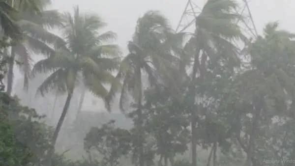 ঢাকাসহ ১৪ জেলায় কালবৈশাখী ঝড় ও বজ্রসহ বৃষ্টির সতর্কতা