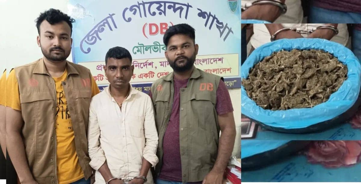 কুলাউড়ায় ডিবির অভিযানে গাঁজাসহ এক ব্যক্তি আটক